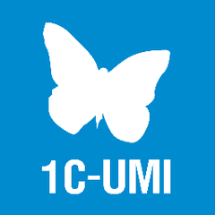 UMI.ru